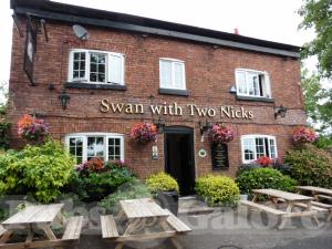 Picture of The Swan With Two Nicks