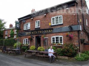 Picture of The Swan With Two Nicks