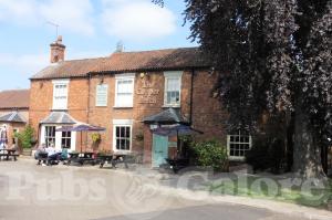 Picture of Copper Beech