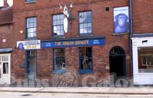 Picture of The Organ Grinder