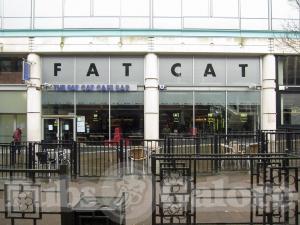 Picture of Fat Cat