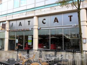 Picture of Fat Cat