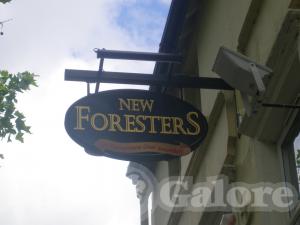 Picture of The New Foresters