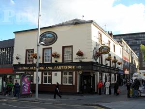 Picture of Old Dog & Partridge