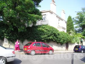Picture of Waltons Hotel