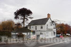 Picture of The White Lion