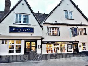 Picture of Blue Boar