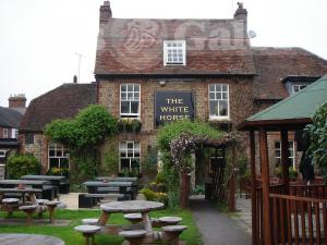 Picture of The White Horse