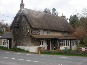 Picture of Horse & Groom