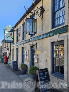 Picture of Golden Pheasant
