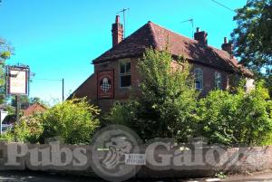 Picture of The Fat Frog in the Chequers