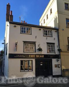 Picture of The Bear