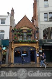 Picture of The Grapes