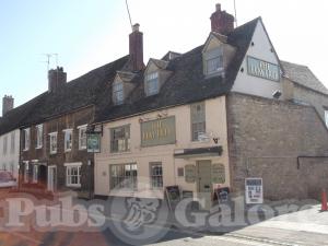 Picture of The Elm Tree