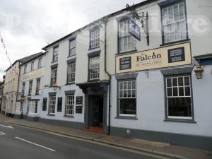Picture of The Falcon