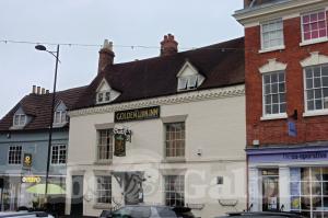 Picture of The Golden Lion Inn