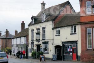 Picture of The White Lion