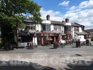 Picture of The White Horse
