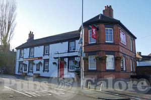 The White Lion The White Lion