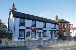 The White Lion The White Lion