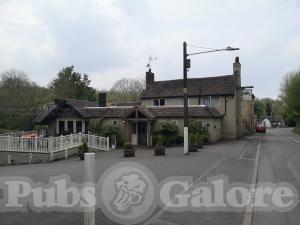 Picture of The Water Rat