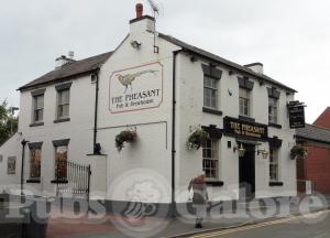 Picture of The Pheasant