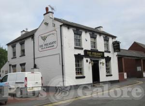 Picture of The Pheasant