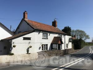 Picture of The Cottage Inn