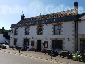 Picture of The White Hart