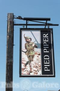 Picture of Pied Piper
