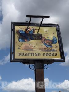 Picture of Fighting Cocks