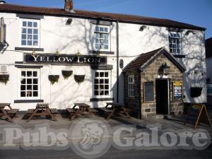 Picture of Yellow Lion