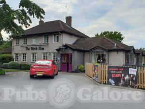 Picture of The Wych Elm