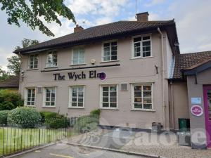 Picture of The Wych Elm