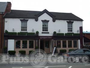 Picture of The Pepper Tree