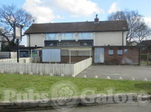 Picture of Pied Piper