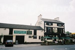 Picture of The White Lion