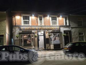 Picture of Bear & Pheasant