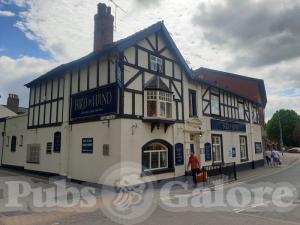 Picture of Bird in Hand