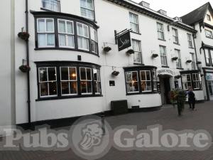 Picture of The Swan