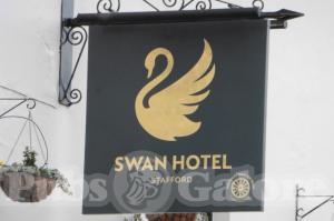 Picture of The Swan