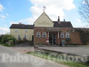 Picture of The Greyhound