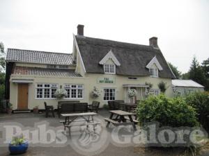 Picture of The Ivy House