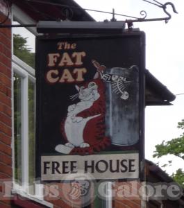 Picture of The Fat Cat