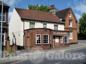 Picture of The Greyhound
