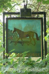 Picture of The Sorrel Horse