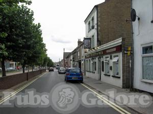 Picture of Hearts Of Oak