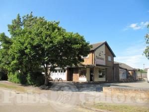 Picture of The Palomino