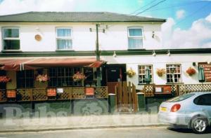 Picture of The Bay Horse
