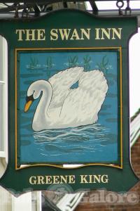 Picture of The Swan